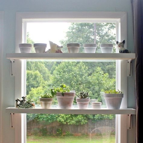 My husband and I wanted to take advantage of the massive amounts of light pouring through our sunroom windows, so we decided to build these plant shelves to han… Window Sill Plants, Kitchen Window Shelves, Window Sill Shelf, Window Shelf For Plants, Shelves Window, Shelf For Plants, Window Plant Shelf, Curtain Alternatives, Window Sill Decor