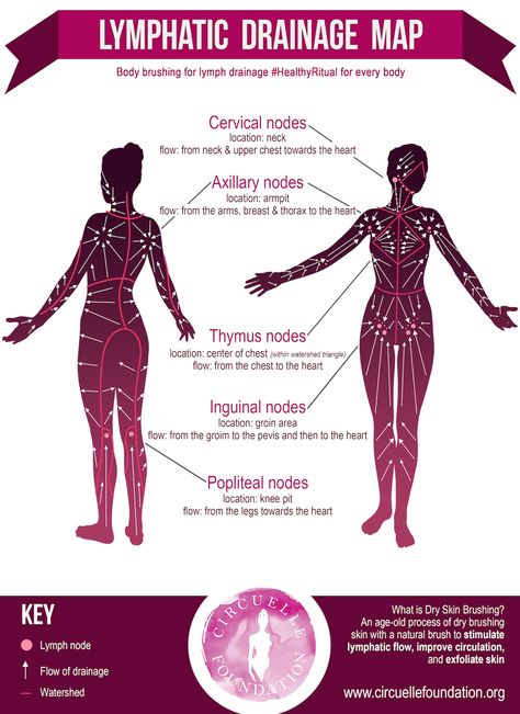 Lymph Drainage Massage, Dry Brushing Skin, Lymph Massage, Lymph System, Lymph Drainage, Skin Brushing, Natural Therapy, Massage Techniques, Body Brushing