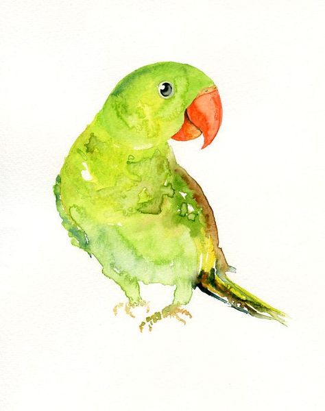 Parrot Alexandrine Parrot, Parrot Watercolor, Pencil Techniques, Colored Pencil Techniques, Beautiful Water, Watercolor Painting Techniques, Watercolor Art Lessons, Animals Artwork, Watercolour Paper