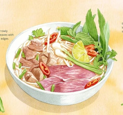 Pho Painting, Pho Drawing, Pho Illustration, Vietnamese Food Illustration, Pho Menu, Fish Cakes Recipe, Food Illustration Design, Vietnam Food, Food Illustration Art