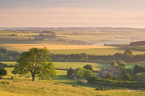 England Summer, Somerset England, Nature Picture, Thatched Cottage, Poster Size Prints, Rural Landscape, Travel Images, England Uk, Nature Photographs