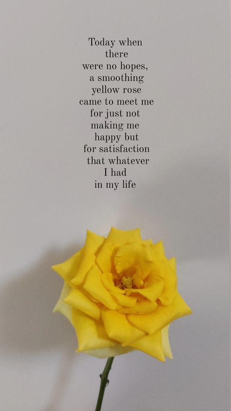 Flower Poetry, Short Poem, Yellow Rose Flower, Girly Attitude Quotes, Short Poems, Flower Quotes, My Photo Gallery, Attitude Quotes, Yellow Roses