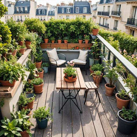 Roof terrace Closed Terrace Ideas, Terrace Ideas Outdoor, Closed Terrace, Small Rooftop Garden, Small Rooftop, City Rooftop, Terrace Ideas, Small City, Rooftop Garden