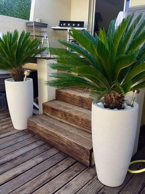 Planters Front Door, Tall Planters Front Door, Dream Garden Backyards, Front Lawn Landscaping, River Rock Garden, Backyard Covered Patios, Front Garden Landscape, Potted Plants Outdoor, Front Yard Garden Design