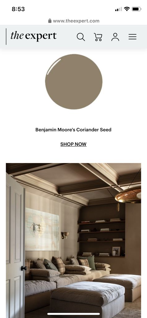 Saddle Soap Benjamin Moore, Dark Putty Paint Color, Raleigh Sorrel Benjamin Moore, Sw Foothills Paint, Dark Taupe Bedroom Walls, Moody Neutral Paint Colors, Sherwin Williams Honed Soapstone, Benjamin Moore Brown Paint Colors, Brown Paint Colors