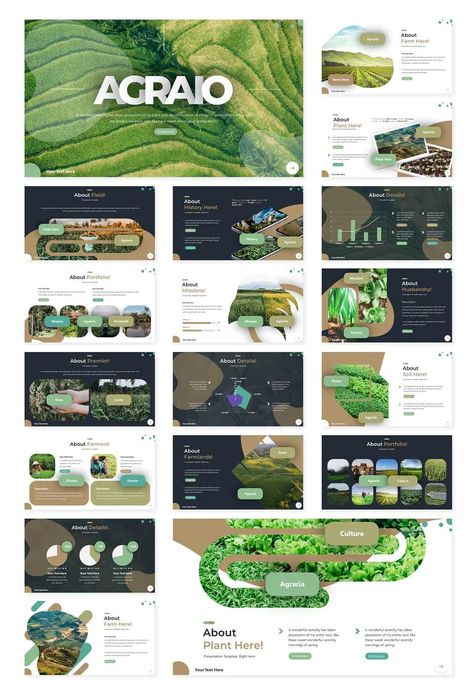 Modern Presentation Design, Mẫu Power Point, Free Powerpoint Presentations, Presentation Slides Design, 포트폴리오 레이아웃, Powerpoint Slide Designs, Presentation Design Layout, Desain Buklet, Slides Design