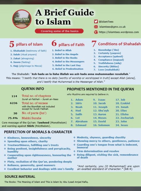 Tafsir Al Quran, Muslim Words, Prophets In Islam, Ramadan Tips, Islam Lesson, Quran Tafseer, Tajweed Quran, Islam Beliefs, Islamic Information