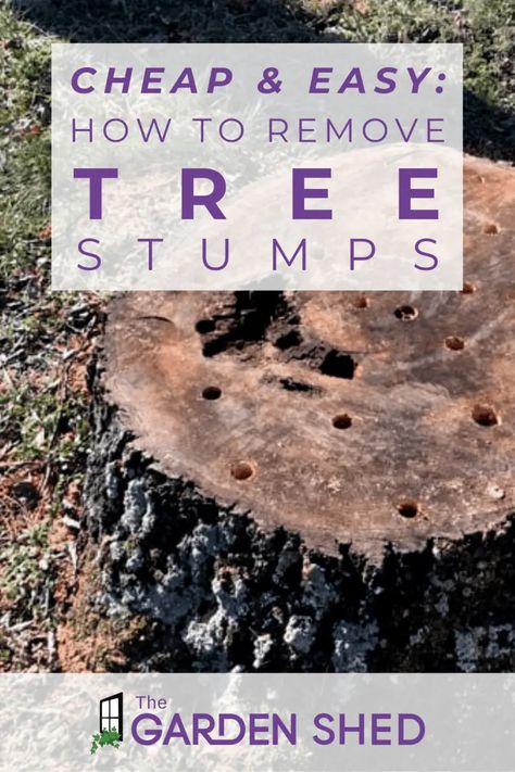 Affordable Ways to Remove a Tree Stump Tree Stump Removal With Epsom Salt, How To Remove A Tree Stump Quickly, Removing Tree Stumps Diy, Get Rid Of Tree Stump, Removing Stumps Diy, Remove Tree Stump And Roots, How To Get Rid Of Tree Stumps, How To Remove A Tree Stump, How To Burn A Stump Out