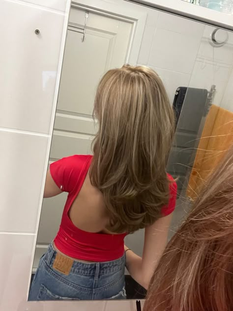 Brown Blonde Layered Hair, Hair Inspo Color Blonde Brown, 90s Haircut Straightened, Brown Hair Inpos, Blowout Hair With Highlights, Blonde Highlights On Light Brown Hair Straight, 90s Blonde Highlights On Brown Hair, Dark Blonde Blowout, Layered Dark Blonde Hair