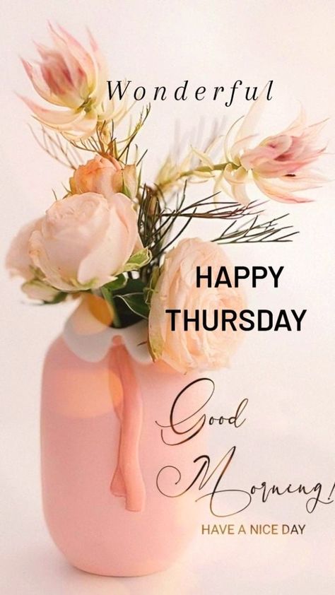 Happy Tuesday Morning Inspiration, Happy Blessed Tuesday, Monday Morning Images, Happy Thursday Morning, Happy Tuesday Morning, Happy Thursday Images, Tuesday Greetings, Good Morning Wishes Friends, Happy Sunday Images