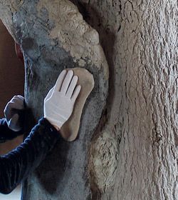 Step four when creating faux tree bark or tree roots out of epoxy - Wood sticks and tools work best when manipulating the epoxy, because the wood holds water better and water is used as the release. Tree Props, Concrete Epoxy, Faux Rock, Concrete Casting, Concrete Diy Projects, Fake Trees, Concrete Sculpture, Diy Tree, Concrete Crafts