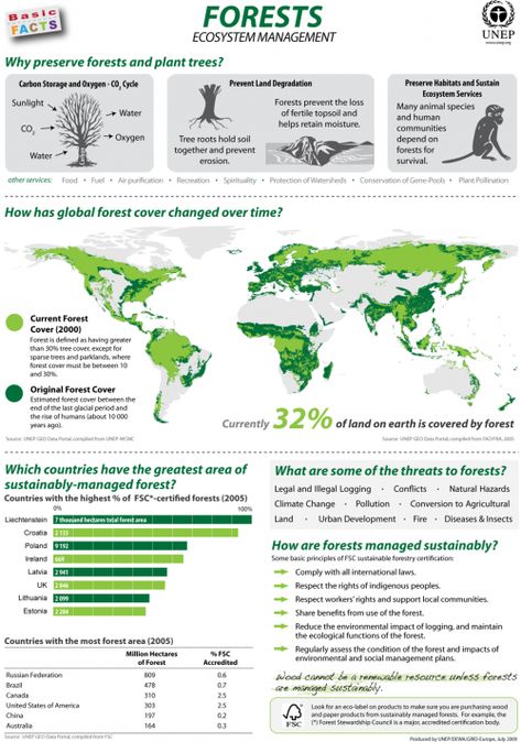 This infographic shows various useful data on our forests, for example, the original and the current forest cover of the Earth, how forests are managed sustainably and which countries are good at doing so. Scientific Poster, Environmental Management, Forest Management, Teaching Biology, Environmental Education, Basic Facts, Science Facts, Environmental Issues, Environmental Science