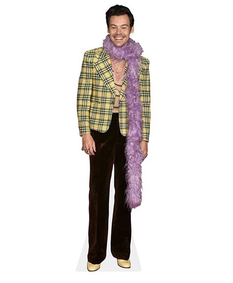 #harrystyles #aesthetic #harry #celebrity #onedirection #louis #liam #niall #zayn Harry Styles Cardboard Cutout, Cardboard Standee, Pop Star Party, Harry Styles Birthday, Celebrity Mask, Life Size Cutouts, Celebrity Singers, Cardboard Cutouts, Cardboard Cutout