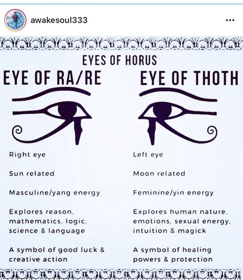 Egyptian Words And Meanings, Eye Of Horus Back Tattoo, Eyes Of Horus Tattoo, The Eye Of Ra Tattoo, Tattoo Eye Of Horus, Eye Of Thoth, Eye Of Horus Meaning, Egyptian Tattoo For Women, Black Goddess Tattoo