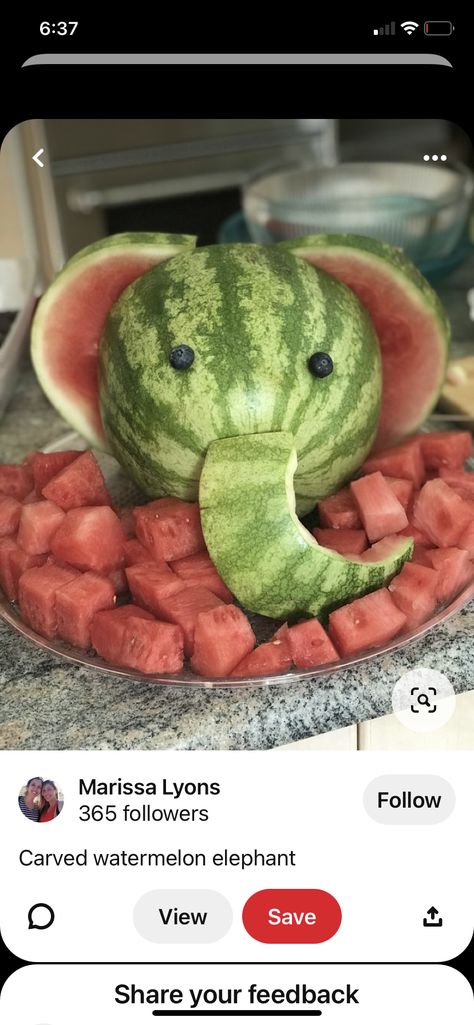 Fruit Animals Art, Fourever Wild, Baby Shower Watermelon, Baby Shower Fruit, Girl Shower Themes, Fruit Animals, Jungle Theme Birthday, Jungle Birthday Party, Watermelon Art