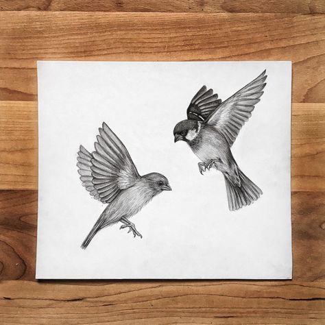 House Sparrow Drawing, House Sparrow Tattoo, Sparrow Drawing Simple, Tree With Birds Tattoo, Meditative Drawing, Sparrow Drawing, Floral Sketches, Kids Tattoo, Sparrow Art