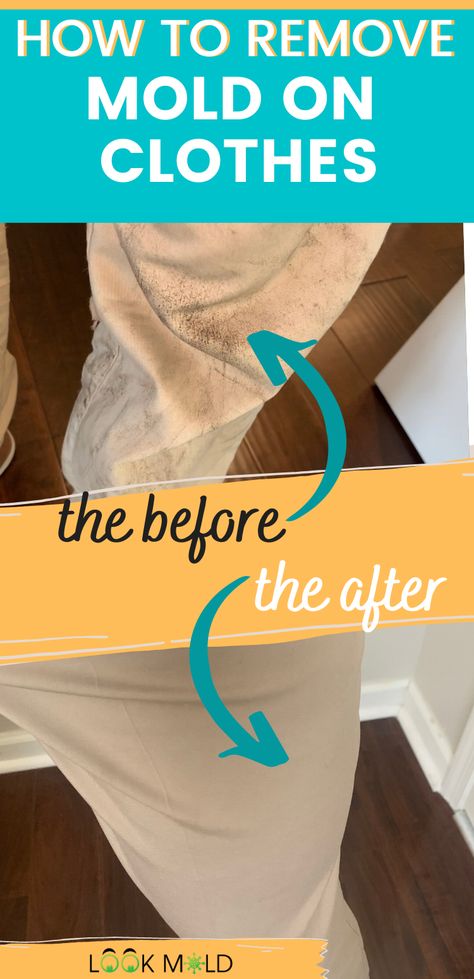 Removing Mold From Clothes, How To Get Mold Stains Out Of Clothes, Mold Stains Out Of Clothes, How To Get Mildew Stains Out Of Fabric, How To Remove Mold From Fabric, How To Remove Mildew From Fabric, How To Get Mold Out Of Clothes, Mold On Clothes, Remove Mold From Clothes