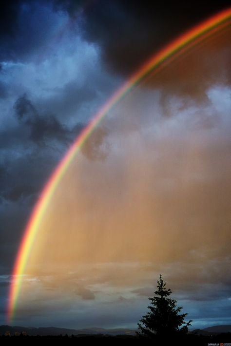 Rainbow Over Bern | Flickr Bern Switzerland, God's Promise, Rainbow Magic, Rainbow Sky, Rainbow Aesthetic, Love Rainbow, Beautiful Sights, Beautiful Rainbow, Beautiful Sky