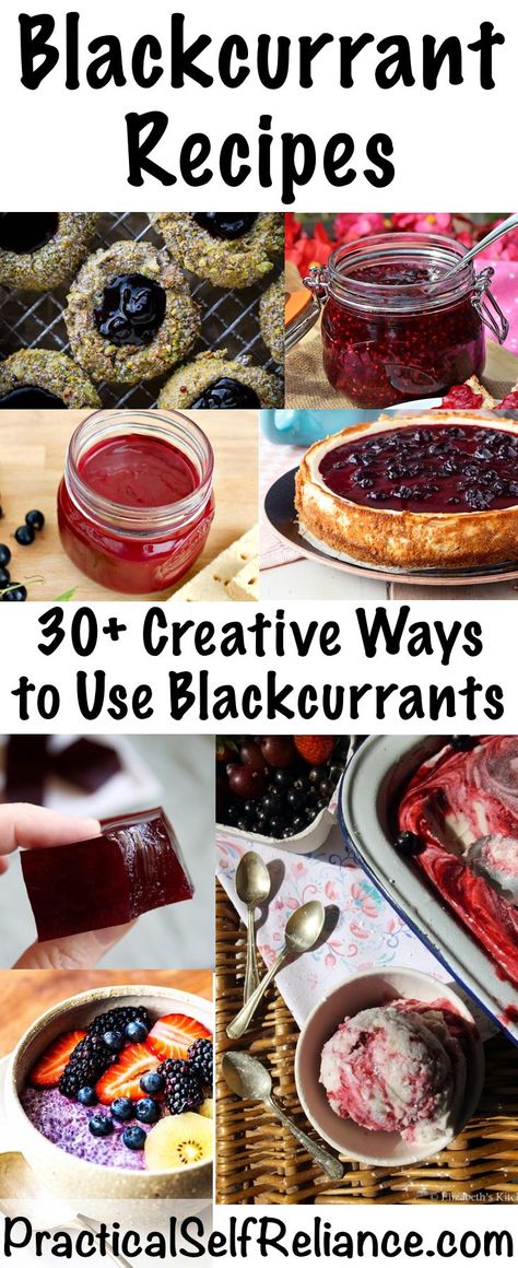 Blackcurrant Recipes ~ 30+ Creative Ways to Use Blackcurrants #blackcurrants #currant #recipes #superfood #berries #wildcrafting #foraging #wildfood Healthy Recipes Dessert, Blackcurrant Recipes, Black Currant Recipes, Yummy Healthy Recipes, Currant Recipes, Dry Mixes, Recipes For Desserts, Berries Recipes, Red Currant