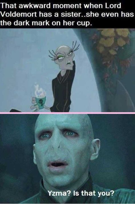 Harry Potter: 25 Memes That Show That Voldemort Makes No Sense Disney Humor, Humor Disney, Citate Harry Potter, Glume Harry Potter, Yoo Ah In, Harry Potter Memes Hilarious, Harry Potter Puns, Movies Quotes, Images Harry Potter