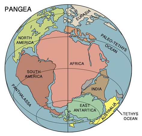 Alfred Wegener, Paleozoic Era, Earth Science Lessons, Earth Layers, Continental Drift, Continents And Oceans, Indian History Facts, Plate Tectonics, World Geography