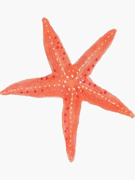 "cute starfish " Sticker for Sale by Maddy Gaukroger Starfish Widget, Starfish Sticker, Starfish Colors, Orange Starfish, Cute Starfish, Pink Starfish, 2024 Ideas, Room Painting, Pink Things