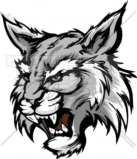 Wildcat Tattoo, Wildcat Drawing, Bobcat Drawing Easy, Cougar Drawing, Uk Wildcats Logo, Eminem Drawing, Grifter Wildcats, Wildcats Logo, Basic Sketching