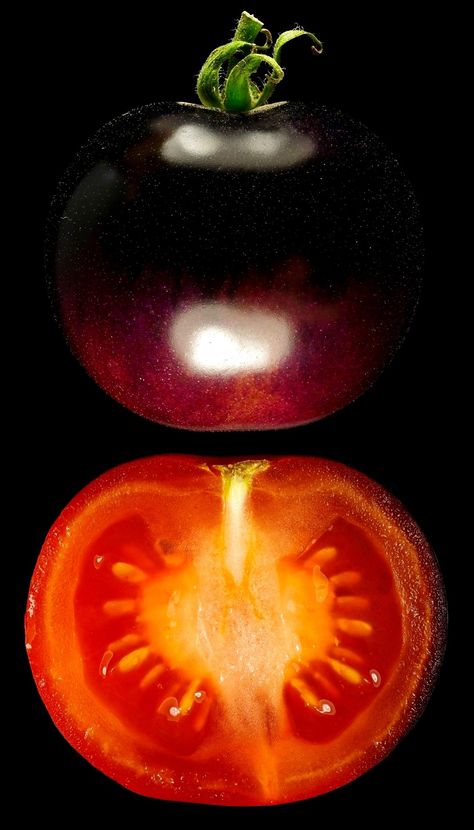 Tomato Photography Food Styling, Indigo Rose Tomato, Cherry Tomato Photography, Tomato Farm Photography, The Globe, Herbs, Fruit, Plants