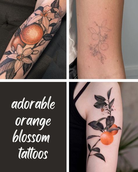 31 Orange Blossom Tattoo Ideas For Spring - Tattoo Glee Mango Flower Tattoo, Florida Orange Tattoo, Orange Tattoo Black And White, Orange Branch Tattoo, Oranges Tattoo, Citrus Tattoo, Orange Blossom Tattoo, Vegetable Tattoo, Spring Tattoo