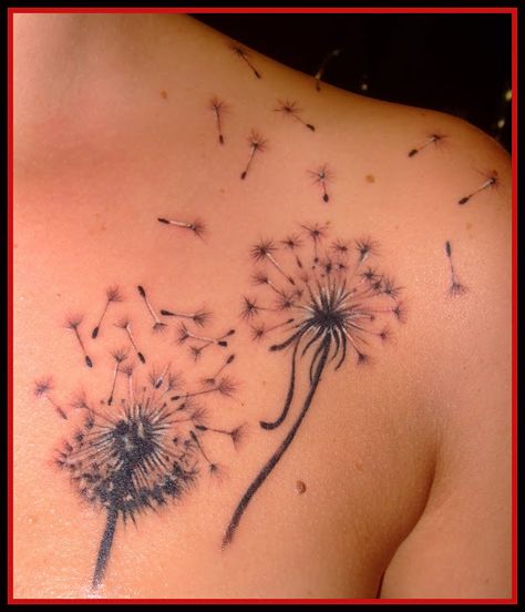 Dandelions on chest blowing away... Dandelion Tattoo Design, Blowing Dandelion, Mastectomy Tattoo, Dandelion Tattoo, Feather Tattoo Design, Skeleton Hand Tattoo, Sunflower Tattoos, Feather Tattoos, Tattoos For Daughters