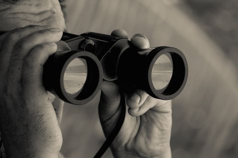 How to Use Content Curation to Create a Recurring Revenue Business Looking Through Binoculars, Social Media Strategy Template, Private Detective, Online Privacy, Detective Agency, Train Your Mind, Private Investigator, Content Curation, Foto Art