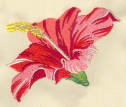 Set with embroidery designs of tropical hibiscus Embroidery Hibiscus, Hibiscus Embroidery, Tropical Garden Ideas, Floral Machine Embroidery Designs, Pineapple Embroidery, Tropical Art Print, Tropical Hibiscus, Embroidery Design Sets, Hand Embroidery Patterns Flowers