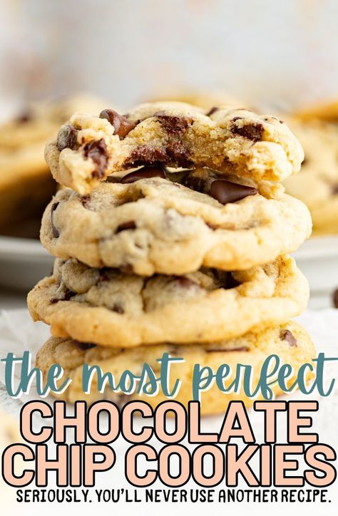 Best Homemade Chocolate Chip Cookies Cookies For Days Chocolate Chip Cookies, Simple Chocolate Chip Cookies Recipe, Chipits Chocolate Chip Cookies Recipes, Best Moist Chocolate Chip Cookies, Joy Food Sunshine Chocolate Chip Cookies, Easy Fluffy Chocolate Chip Cookies, Best Choc Chip Cookies Ever, Worlds Best Chocolate Chip Cookie Recipe, Chocolate Chip Cookies Chewy Recipe