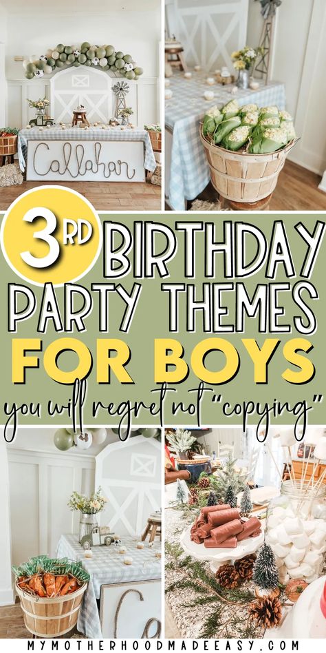 third birthday party themes for Boys Boy Third Birthday Party Ideas, 3rd Burthday Theme Boy, One And Three Year Old Birthday Party, Clever 3rd Birthday Theme, Birthday Theme 3rd Birthday, Baby Boy 3rd Birthday Themes, Boys 3rd Birthday Party Ideas Themes, Birthday Party 3 Boy, Birthday Theme For 3 Year Boy