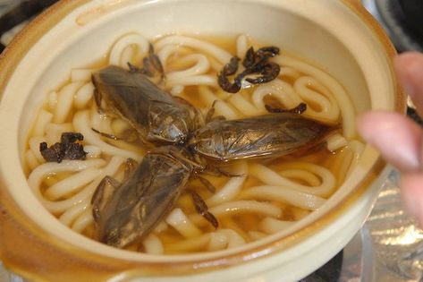 giant water bug soup Edible Insects, Bizarre Foods, Gross Food, Exotic Food, Weird Food, Rich In Protein, World Recipes, Eating Raw, Japanese Food