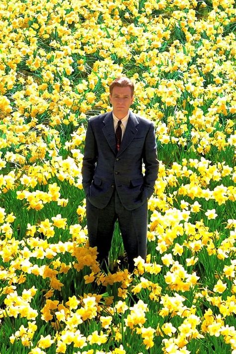 Ewan McGregor in Big Fish ~ also I think this shot is the reason I <3 yellow flowers; ESPECIALLY daffodils and roses! Big Fish Movie, Ewan Mcgregor Obi Wan, General Kenobi, Movie Shots, Trainspotting, Ewan Mcgregor, Love Movie, Big Fish, Film Stills