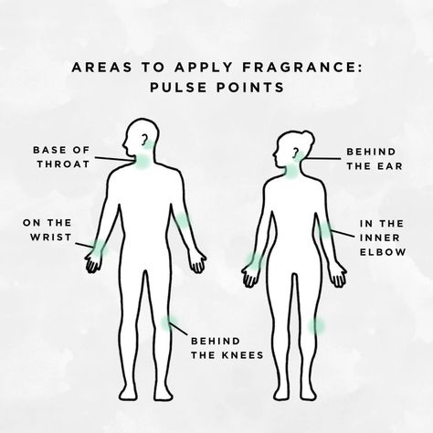 Pulse Points Perfume, Pulse Points For Perfume, Perfume Points, How To Apply Perfume, Apply Perfume, Wear Perfume, Pulse Points, Beauty Inside, Body Skin Care Routine