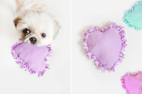 Pretty Fluffy Sew Heart, Diy Pet Toys, Diy Dog Toys, Diy Tumblr, Dog Projects, Dog Crafts, Dog Valentines, Shih Tzus, Diy Dog