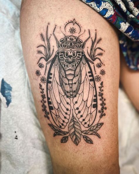 Melanie Steinway on Instagram: "Thigh cicada for Lacey :)" Cicada Shell Tattoo, Katydid Tattoo, Stink Bug Tattoo, Leg Dragon Tattoo, Woodland Tattoos, Someday Tattoo, Wren Tattoo, Dragon Tattoo Leg, Folklore Forest