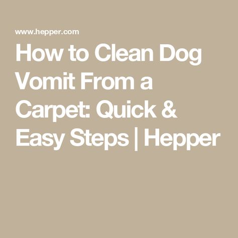 How to Clean Dog Vomit From a Carpet: Quick & Easy Steps | Hepper How To Clean Dog Throw Up On Carpet, Dog Vomit Out Of Carpet, Dog Throwing Up, Cream Carpet, Carpet Cleaner Homemade, Cat Nutrition, Dog Nutrition, Pet Blog, Dog List