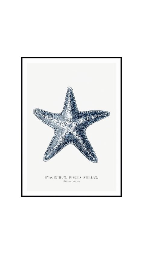 #seastar#sticker Stikers Aesthetic, Aesthetic Ocean, Perfect Match, Art Paper, Poster Wall, Digital Artwork, Fine Art Paper, Frames On Wall, Les Oeuvres