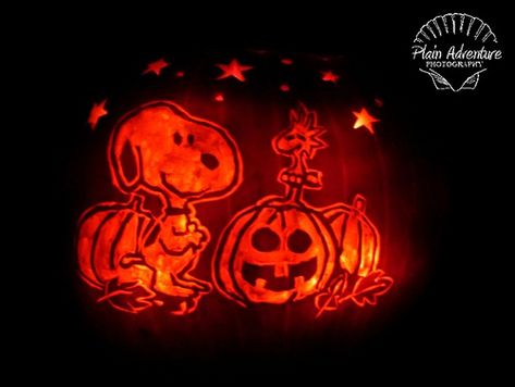 Snoopy Pumpkin Carving, Woodstock And Snoopy, Charlie Brown Pumpkin, Snoopy Pumpkin, Unique Pumpkin Carving Ideas, Halloween Pumpkin Stencils, Pumpkin For Halloween, Halloween Pumpkin Carving Stencils, Pumkin Carving