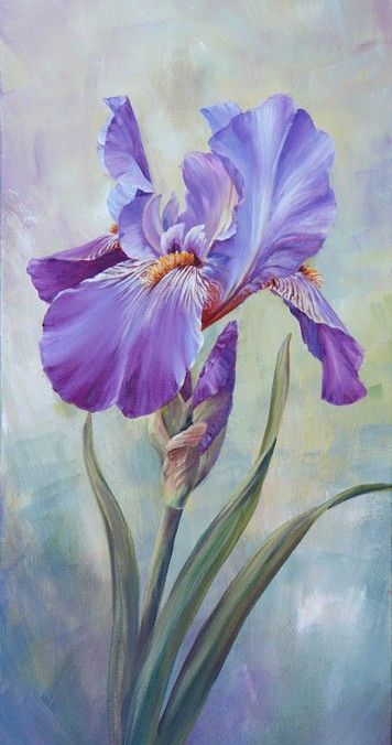 Single Iris - Marianne Broome Iris Art, Iris Painting, Iris Flowers, Flower Art Painting, Personal Space, Irises, Arte Floral, Flower Mandala, Botanical Art