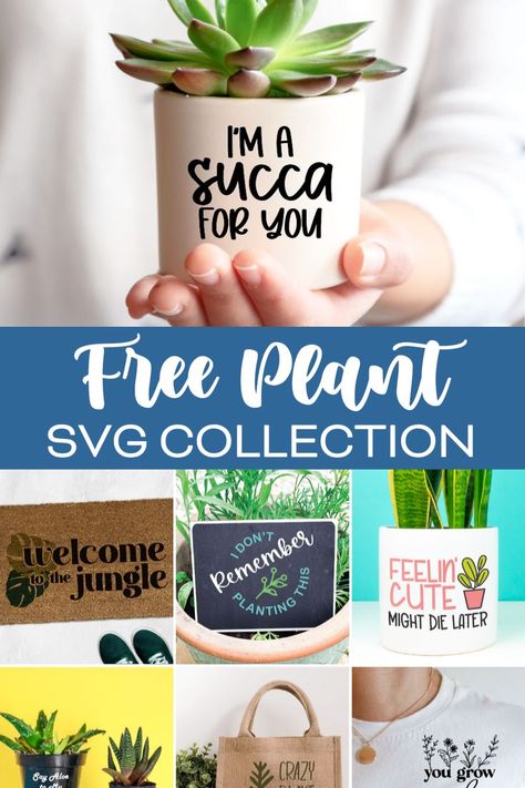 If you love puns and plants, you’re going to love this fun collection of Plant SVG cut files. Use this free Plant SVG Collection and your Cricut or Silhouette to decorate flower pots, tote bags, t-shirts, and more! Free Plant Svg, Decorate Flower Pots, Flower Puns, Diy Planters Pots, Cricut Patterns, Plant Svg, Plant Puns, Plant Crafts, Love Plants