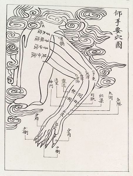 Meridians are the lines of Chi that flow through the body. Chi flow is believed to be the energy of life in living beings. The meridians are used during the practice of acupuncture. Acupuncture Charts, Traditional Chinese Medicine Acupuncture, Acupuncture Points Chart, Chi Flow, Asian Medicine, Medical Words, Complementary Medicine, Acupuncture Points, Traditional Medicine