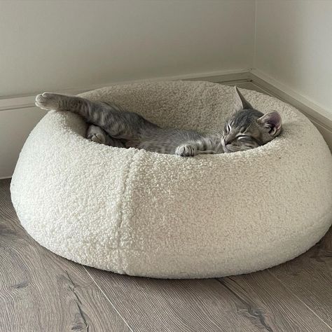 Cat Things For Home Aesthetic, Cat Modern Furniture, Cat At Home Aesthetic, Luxury Cat Accessories, Cute Cat Things Products, Cool Cat Furniture, Cute Cat Accessories For Cats, Cozy Cat Bed, Cute Cat Beds Aesthetic