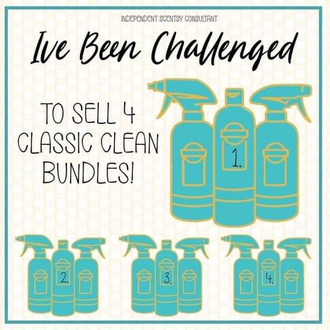 Scentsy Challenge 2024, Scentsy Challenge Ideas, Scentsy Challenge Ideas 2023, Scentsy Party Ideas, Scentsy Challenge, Scentsy Mail, Scentsy Graphics, Scentsy 2024, Scentsy Consultant Business