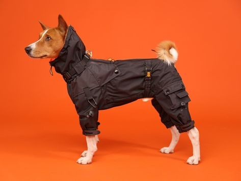 Made of fully Windproof, Waterproof, and Breathable membrane fabrics lined with cozy soft plush e or light mesh for demi-seasonal dog coats.* ▪️ The design is inspired by streetwear and techwear aesthetic, which means comfort, durability, and functionality. And black with orange pays homage to classic bombers. ▪️ There is a special pocket for AirTag, to always know where your buddies are. ▪️ A neat carabiner for a flashlight or anything else you want is there. ▪️ The seams on the coat are brough Techwear Aesthetic, Dog Tuxedo, Dog Breeds List, Dog Weight, Dog Raincoat, Dog Clothing, Dog Coat, Dog Gear, Toy Poodle