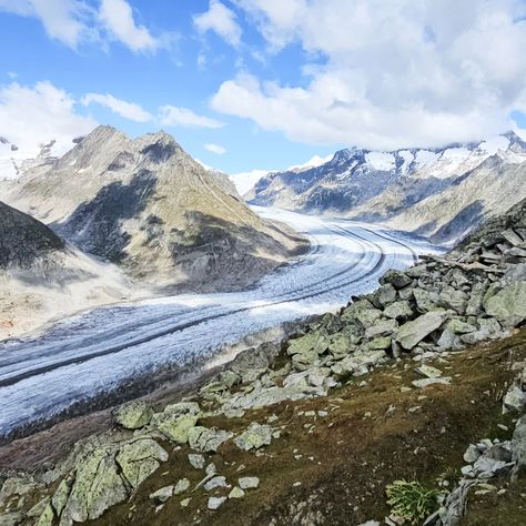 The Aletsch Glacier is the largest in the Alps and part of an UNESCO World Heritage Site. It's located in the eastern Bernese Alps and covers approximately 81 square kilometers. ➡️ Have you visited a glacier before? 📍 Aletsch Arena, Switzerland #AletschGlacier #Switzerland #outdoors #glacier #swissalps Aletsch Glacier, The Alps, Swiss Alps, Travel Inspo, Unesco World Heritage Site, Unesco World Heritage, Heritage Site, World Heritage, Switzerland