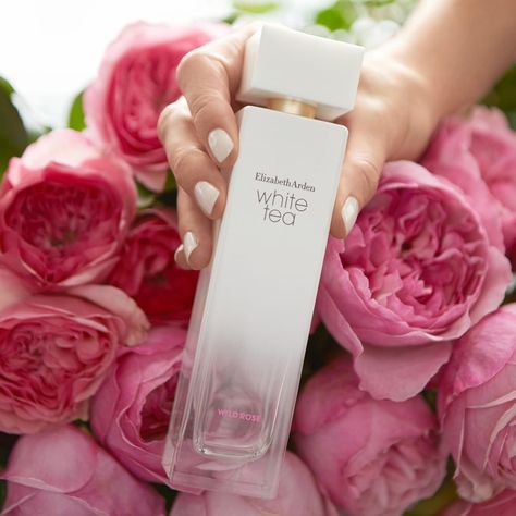 Elizabeth Arden on Instagram: “Celebrate #NationalFragranceDay with White Tea Wild Rose. A sweet, delicate floral fragrance nuanced with freshness that puts a delightful…” Elizabeth Arden White Tea, Elizabeth Arden, Wild Rose, Tea Roses, Wild Roses, White Tea, Floral Fragrance, Fragrances Perfume, Ted Baker Icon Bag